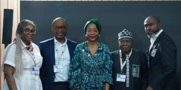 Nigeria launches national wind energy blueprint at COP30