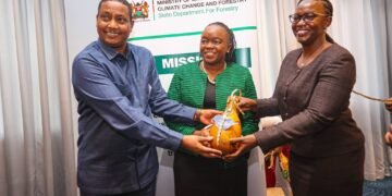 Kenya intensifies restoration of Cherangany Hills under CHERISH programme