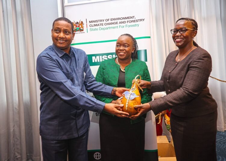 Kenya intensifies restoration of Cherangany Hills under CHERISH programme