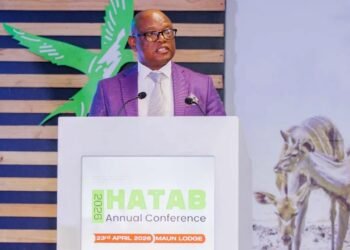 Botswana: Wynter Mmolotsi outlines strategy to diversify and modernize tourism