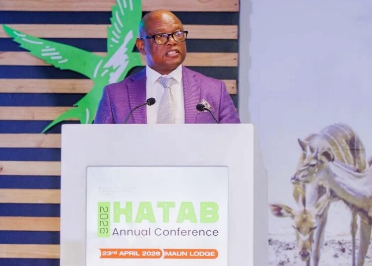 Botswana: Wynter Mmolotsi outlines strategy to diversify and modernize tourism